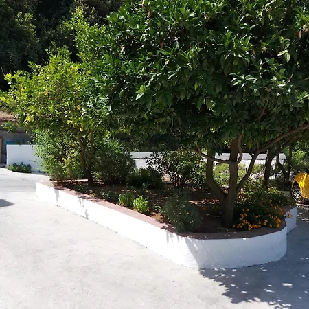 Bed & Breakfast Tatiana Maratea